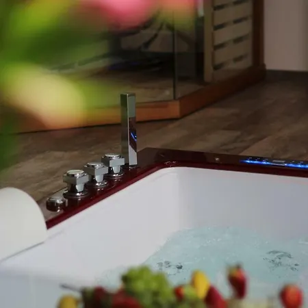 Hotel Romanticky Wellness Heinz Dobris